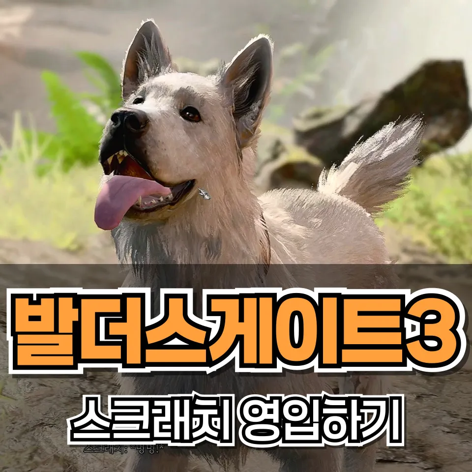 제목을 입력해주세요 001 1